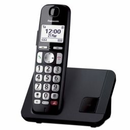 PANASONIC KX-TGE250SPB
